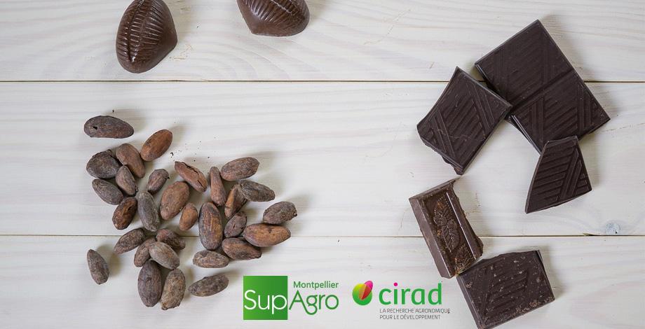 Séminaire Cacao (2018)