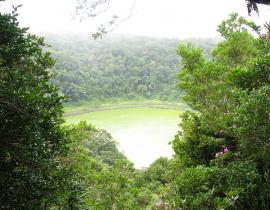 Forêt tropical et lac