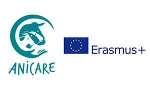 Logo ANICARE - Erasmus+