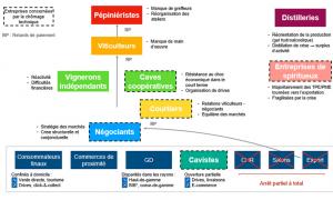 Schéma des impacts de la 1ère vague de la Covid-19 sur les entreprises de la filière vitivinicole française