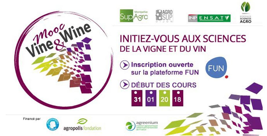 MOOC Vine & Wine (FR)