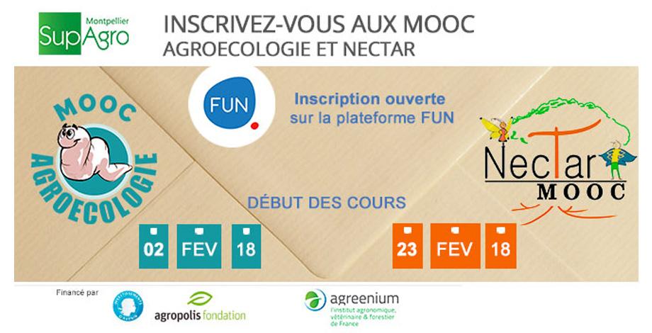MOOC Nectar et Agroécologie