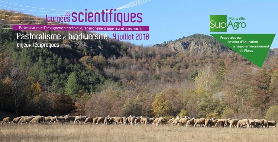 Journée scientifique « Pastoralisme et biodiversité, enjeux réciproques »